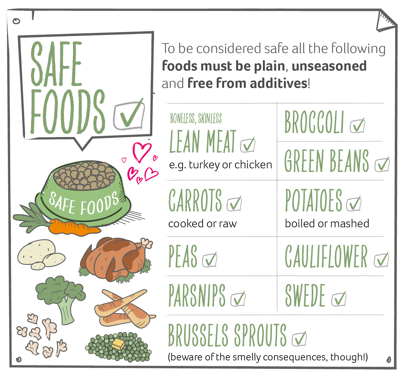 Illustration of foods that are safe for dogs to eat