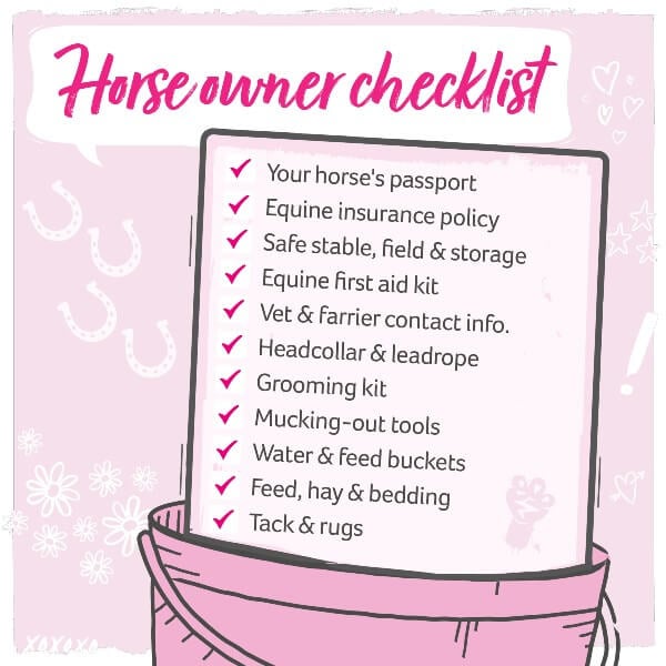 Illustration of horse owner checklist