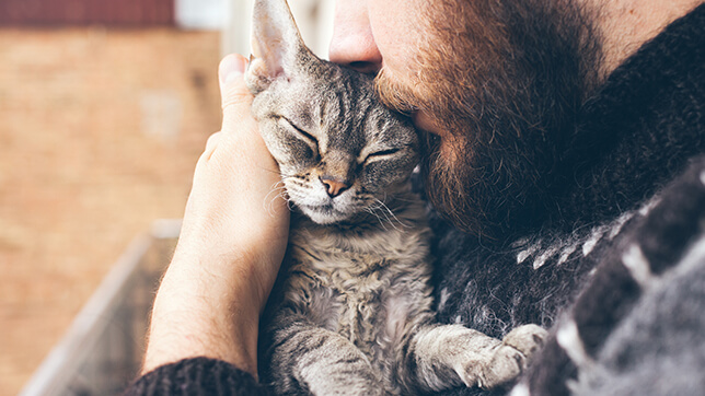 Photograph of a bearded man hugging a tabby cat