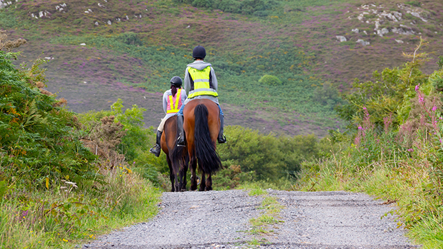 Photograph of two horse riders wearing hi-vis while walking along a country lane