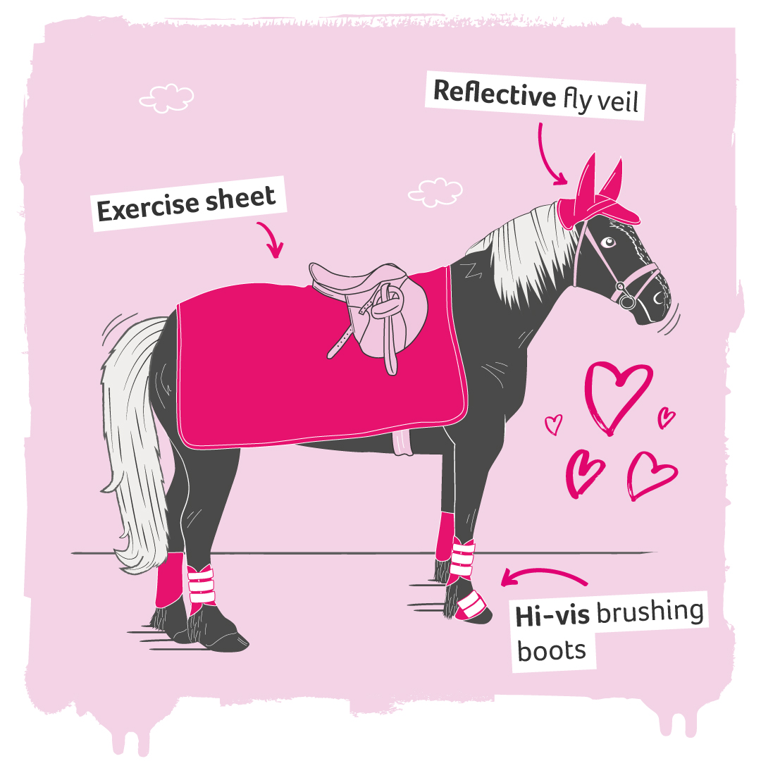 Illustration of a horse wearing a hi-vis fly veil, boots, and exercise sheet