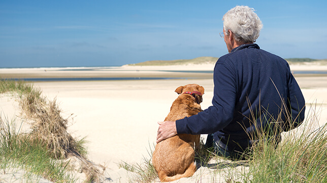 Photograph of an elderly man and an elderly dog sat on a beach, looking out towards the sea