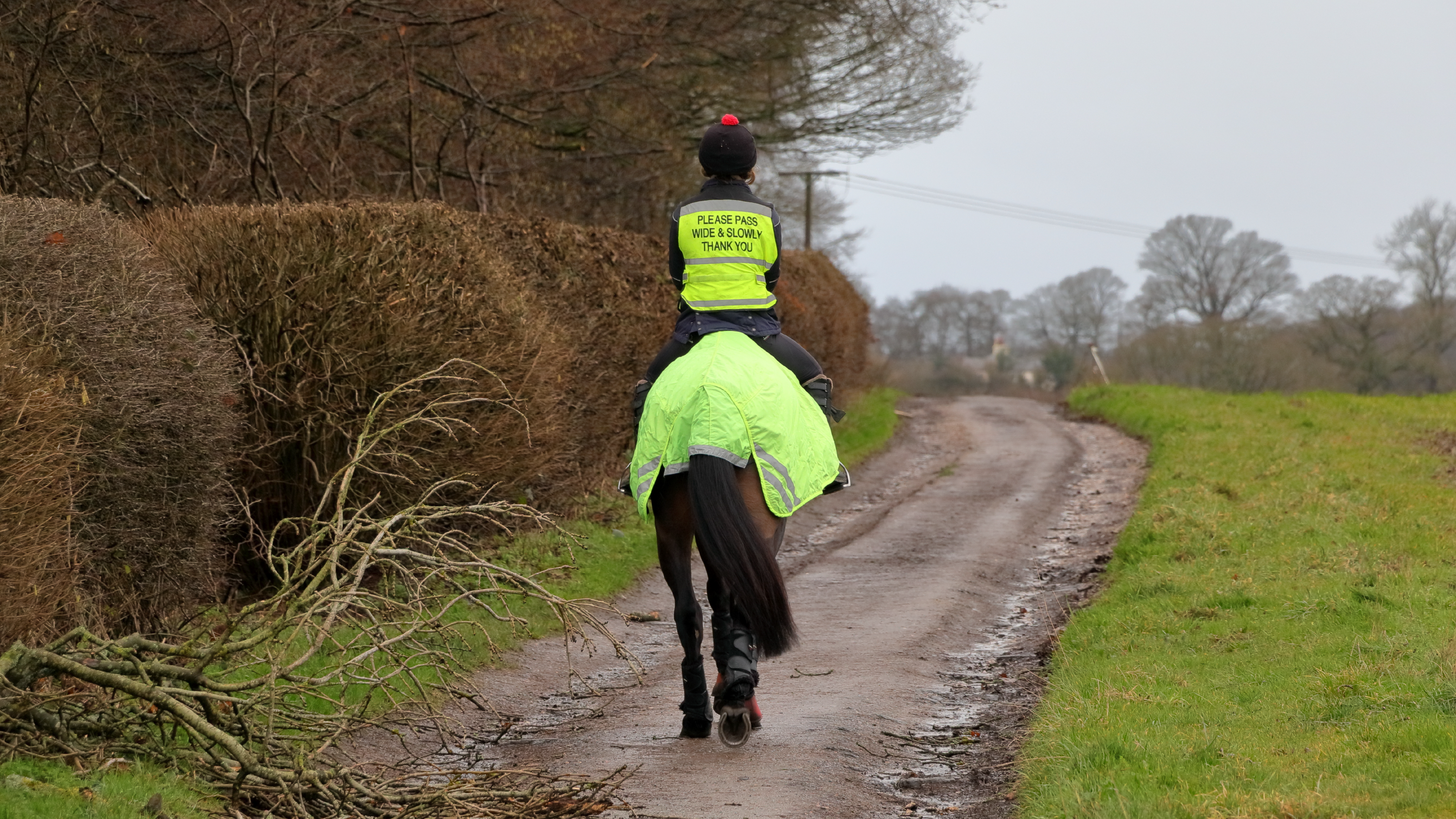 Photograph of a woman riding away from camera, along a country road, on a bay horse wearing a hi-vis rug