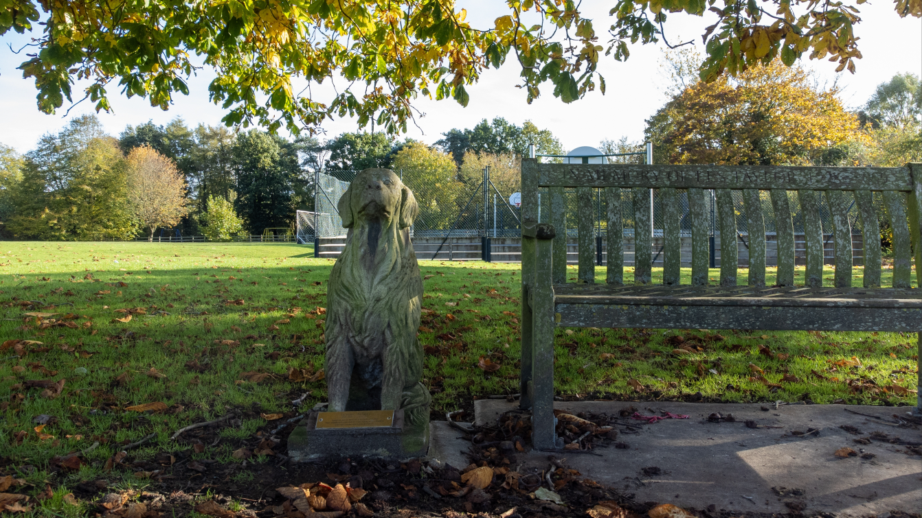 Photograph of a dog memorial statue beside a bench in a park