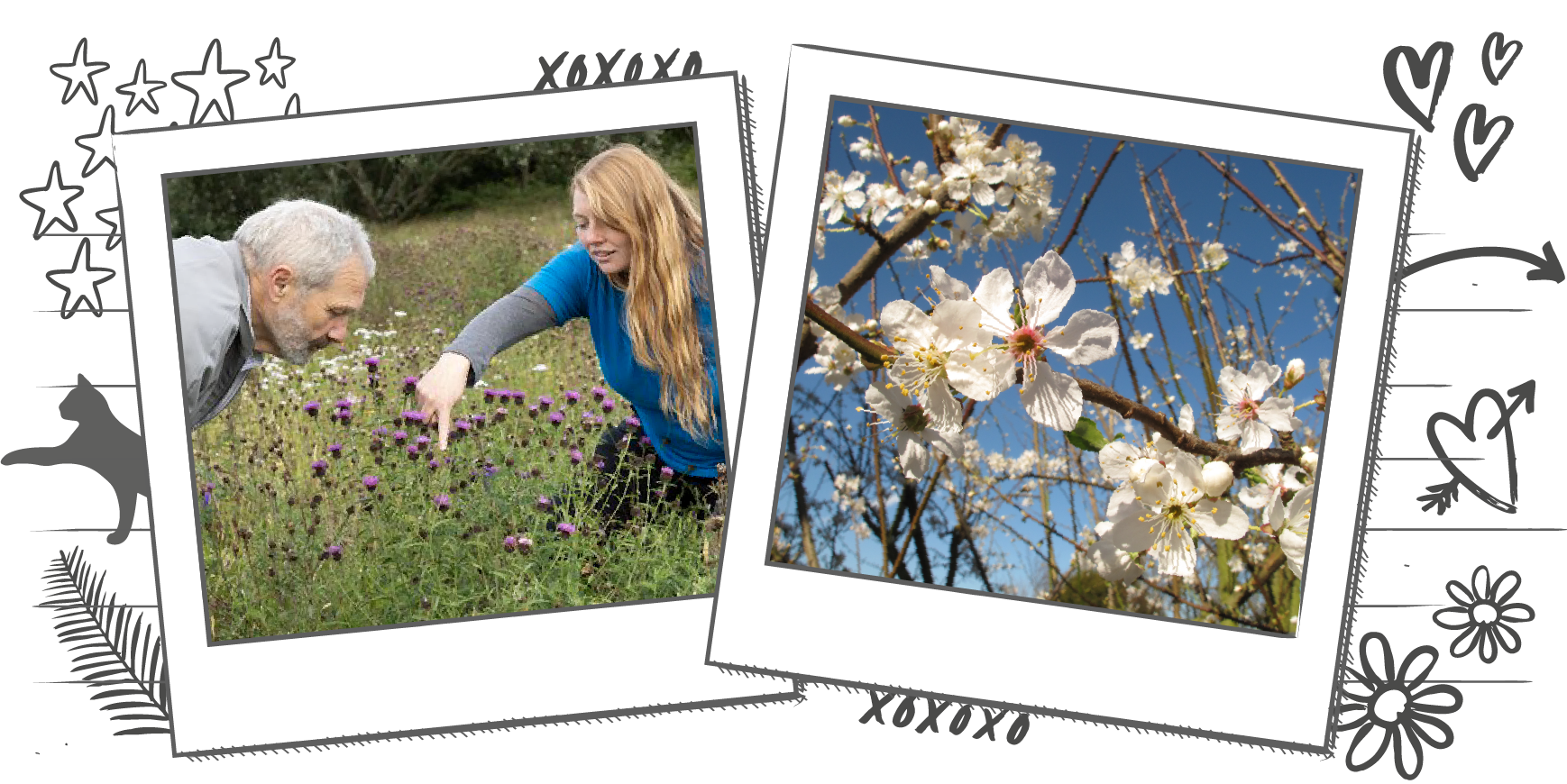 Illustration including two photographs within a Polaroid banner, one photo is of two people inspecting meadow plants and the other is of a cherry blossom tree