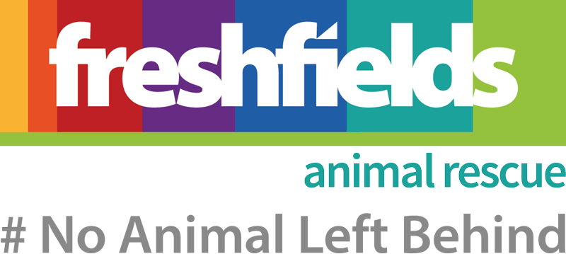 freshfields logo.png