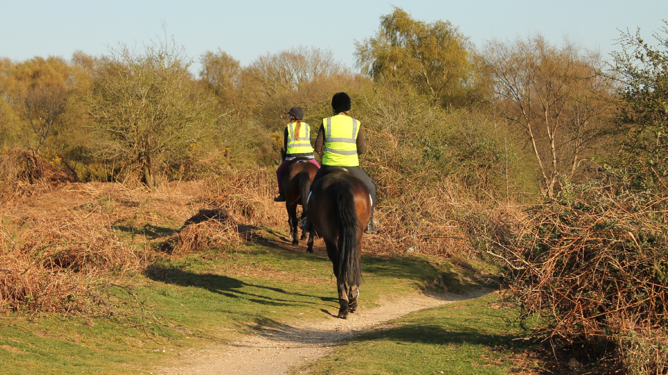 Photograph of two riders wearing hi-vis while riding bay horses along a bridlepath