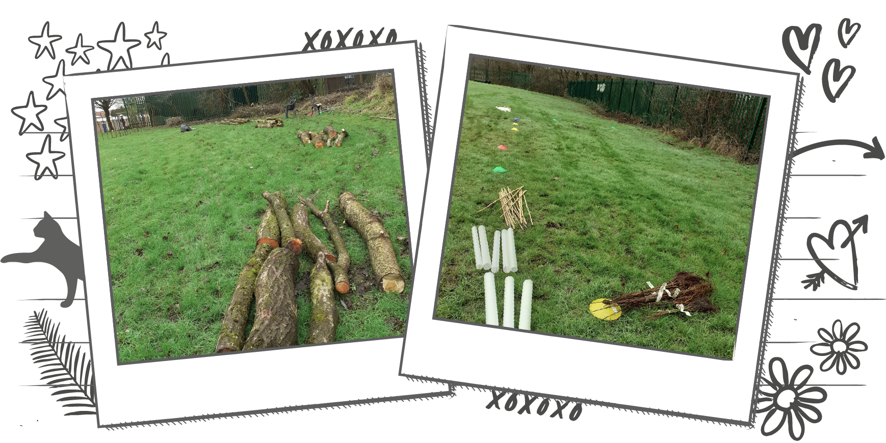 Illustration containing two photographs in Polaroid frames, one photo showing logs piled onto a field and the other with spaces marked to plant trees