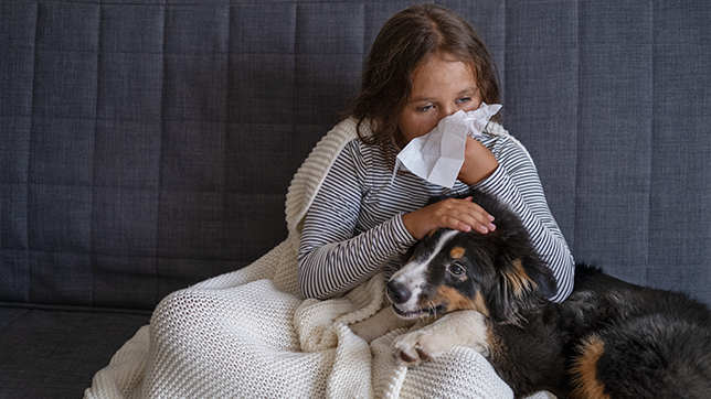 Young girl wrapped in blanket with a puppy on her lap while wiping her nose with a tissue