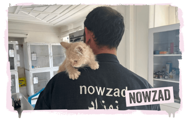 A Nowzad vet with a cat