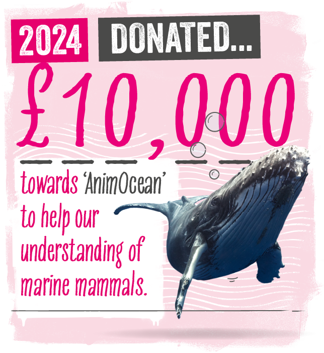 a graphic detailing our donation to Animocean 