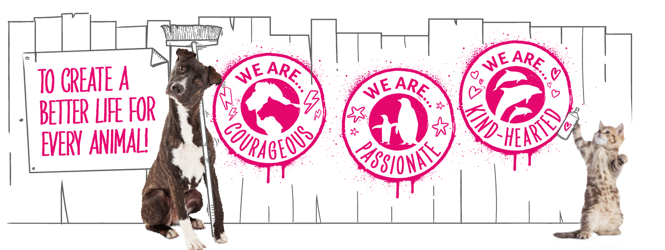 A graphic with a cat and a dog in front of the company's values: courageous, passionate, kind-hearted