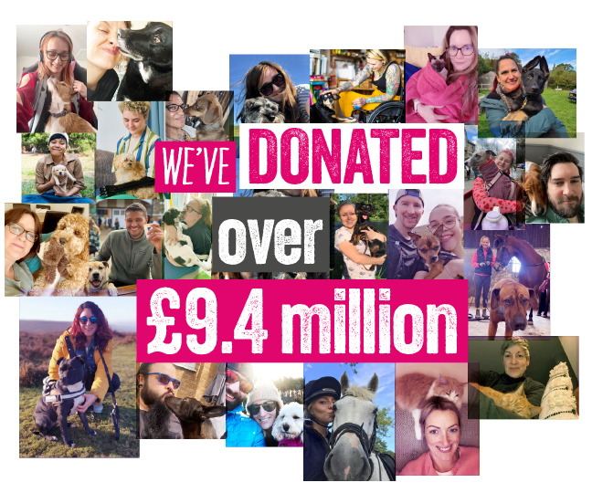 Graphic of the charity donations over collage of colleagues with pets