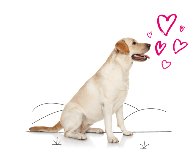 dog sitting down clipart flowers