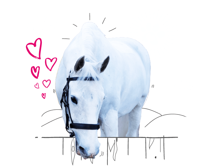 Photo illustration of a horse and love hearts